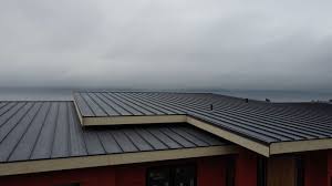 Best Roof Coating and Sealing  in Magnet Cove, AR